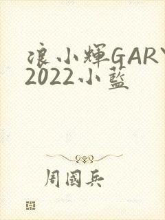浪小辉GARY2022小蓝