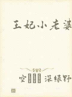 王妃小老婆