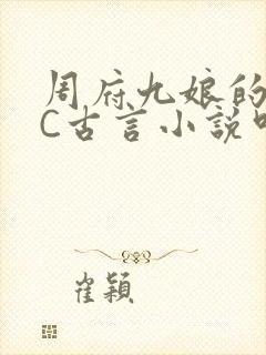周府九娘的NPC古言小说叫什么