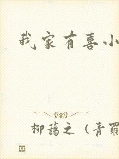 我家有喜小说