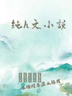 纯h文小说