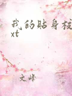 我的贴身校花txt