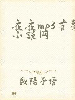 夜夜mp3有声小说网