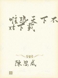 唯恐天下不乱txt下载