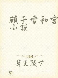 顾千雪和宫凌沨小说