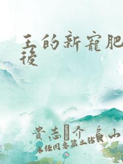 王的新宠肥婆皇后