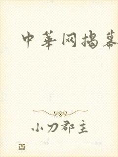 中华网揭幕内参