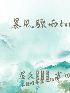 暴风骤雨txt