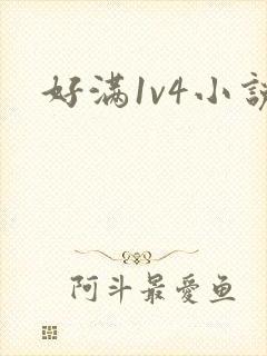 好满1v4小说