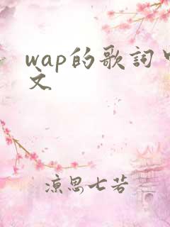 wap的歌词中文