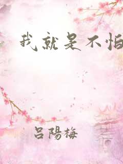 我就是不怕小说