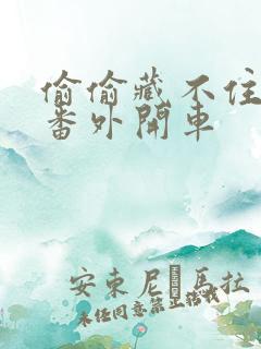 偷偷藏不住婚后番外开车