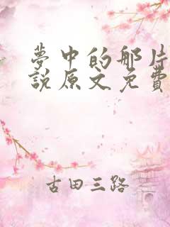 梦中的那片海小说原文免费阅读