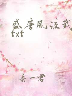 盛唐风流武状元txt
