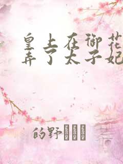 皇上在御花园c弄了太子妃