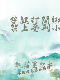 双腿打开绑在刑架上受刑小说