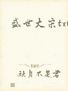 盛世大宋txt