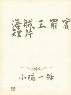 海贼王罗宾被h短片