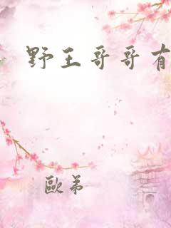 野王哥哥有点甜