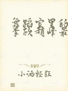 舞蹈室里的景色李欣赵峰最新章节