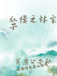 红楼之林家庶长子