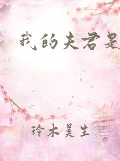 我的夫君是冥王