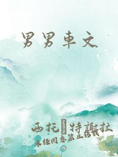 男男车文
