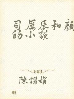 司厉辰和颜辞兮的小说