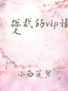 总裁的vip情人