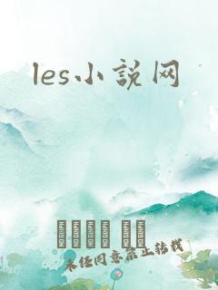 les小说网
