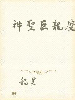 神圣巨龙魔法师