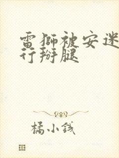 雷狮被安迷修强行掰腿