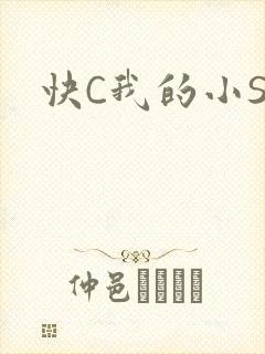 快C我的小SB
