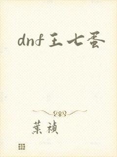 dnf王七蛋