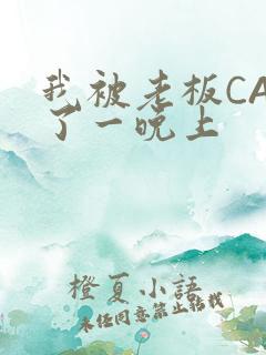 我被老板CAO了一晚上