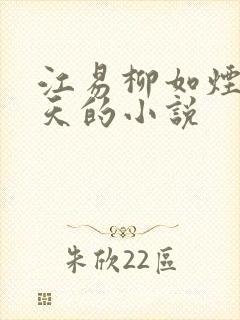 江易柳如烟秦少天的小说