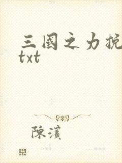 三国之力挽狂澜txt