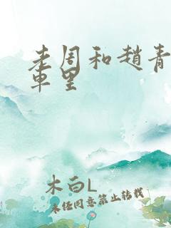 老周和赵青在货车里