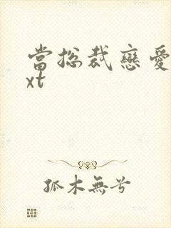 当总裁恋爱时txt