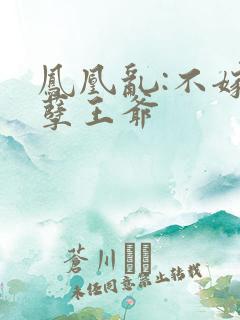 凤凰乱:不嫁妖孽王爷