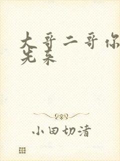 大哥二哥你们谁先来