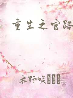 重生之官路情长