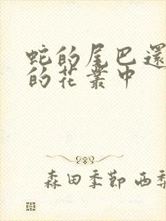 蛇的尾巴还在我的花丛中