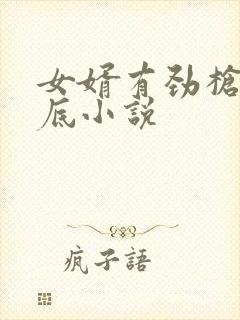 女婿有劲枪枪到底小说