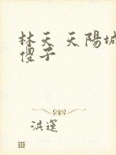 林天 天阳城 傻子