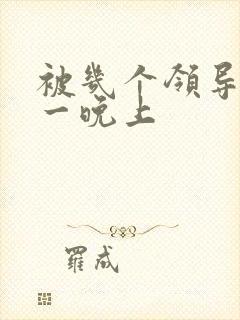 被几个领导玩弄一晚上