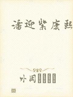 潘迎紫康熙来了