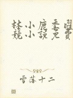 林小鹿季曜珉电竞小说免费阅读