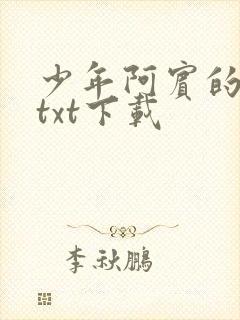 少年阿宾的故事txt下载