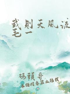 武则天风流艳情毛一